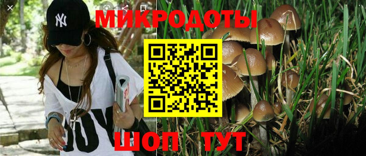 Североуральск  Галлюциногенные грибы GOLDEN TEACHER  Вход с VPN 